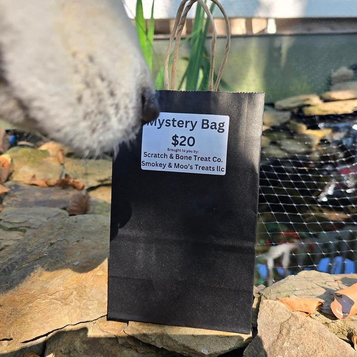 One mystery bag with a dog's nose visible